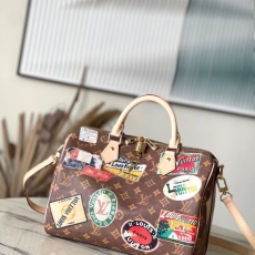 LV Speedy Bags